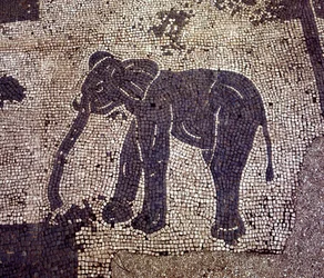 Antikes Ostia. Platz der Korporationen. Mosaik der Seefahrerkorporation von Sabratha.