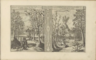 Kaneel, Muskatnuss, Nelke und Bambus (Les Indes Orientales et Occidentales et autres lieux)