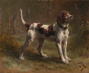 Ein Limier Briquet Hund, ca. 1856