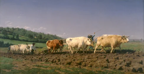 Pflügen im Nivernais