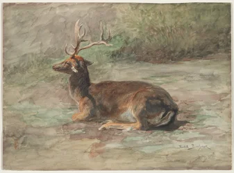Liegender Hirsch, zweite Hälfte des 19. Jahrhunderts