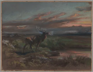 Der Ruf des Hirsches