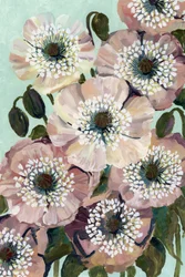 Rosa Mohnblumen