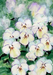 Zarte Stiefmütterchenblüten