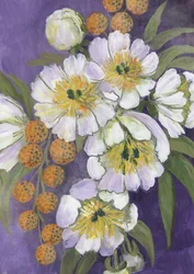 Leuchtende weiße Blumen