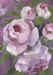 Malerische rosa Pfingstrosen