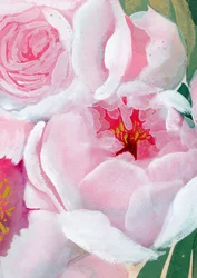 Zartrosa Pfingstrosenblüte