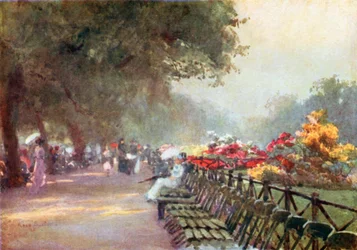 Azaleen in Blüte, Rotten Row