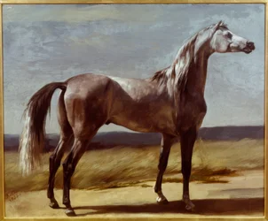 Pferd in einer Landschaft