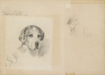 Porträt eines Hundes: Windsor, 1877
