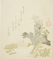 Ein riesiger Rettich (daikon), Chrysanthemen und Farne
