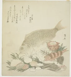 Fische und Muscheln