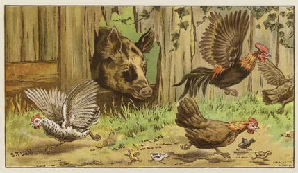 Ein überraschender Effekt im Eichenrahmen