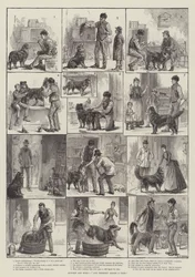 Gekauft und verkauft! Und damit hängt eine Geschichte zusammen