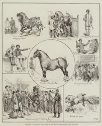 Skizzen auf der Shire Horse Show, in der Royal Agricultural Hall, Islington