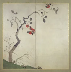 Kaki am Baum