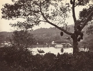 Ein Blick von der Upper Lake Road zeigt Tempel und Insel mit Park – Obstbaum im Vordergrund