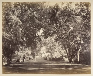 Ein Baumtorbogen in der Nähe von Tanjore