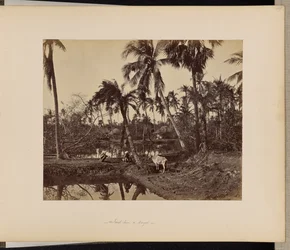 Kalkutta; Ländliche Szenen und das Landleben in Bengalen