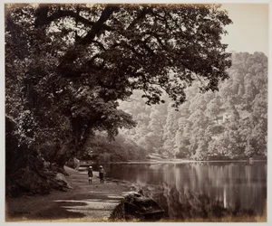 Ohne Titel [Bäume in der Nähe von Wasser, Indien], 1870er Jahre