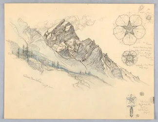 Antelao, von Cortina, mit Blumenstudien