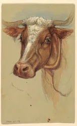 Zeichnung, Skizzen aus Narragansett, Rhode Island, 1871