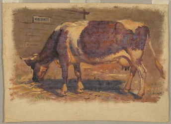 Studie einer grasenden Kuh