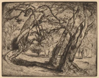 Ohne Titel (Waldlandschaft)