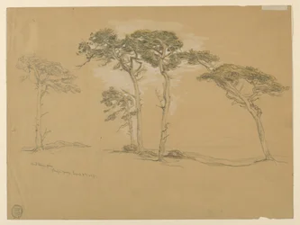 Windgepeitschte Kiefern, Pacific Grove. Rückseite: Pazifikküstenstraße nach Point Sur.