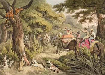Leopardenjagd, aus Oriental Field Sports, veröffentlicht von Edward Orme, 1807