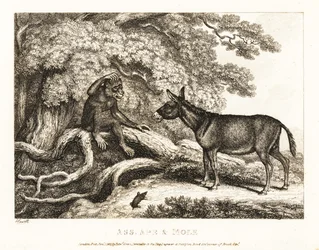 Ein Affe und ein Esel jammern, bis ein Maulwurf sie zum Schweigen bringt. 1811