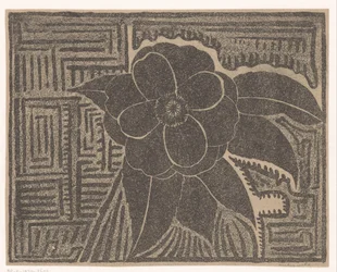 Camelia