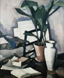 Aspidistra, ca. 1924
