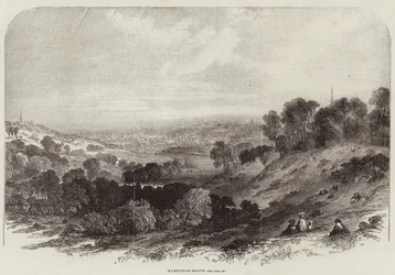 Hampstead-Heath