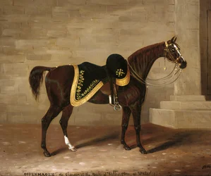 Kopenhagen, das Pferd des Herzogs von Wellington bei Waterloo