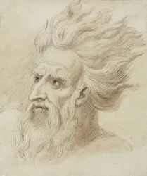 Kopf eines Mannes mit Bart und langen Haaren im Wind