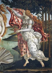 Die Geburt der Venus (Detail)