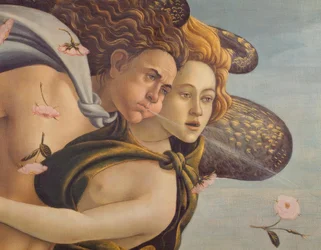 Die Geburt der Venus