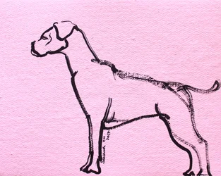 Rosa Linienzeichnung eines Boxers