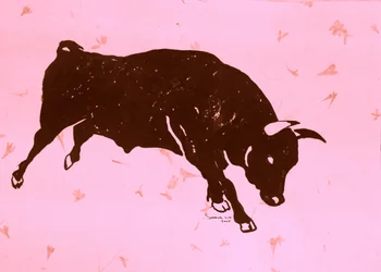 Rosa angreifender Stier