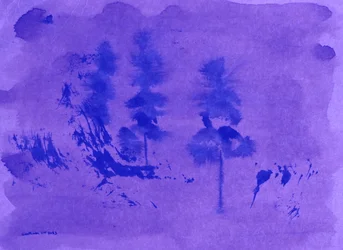 Kiefern im violetten Dunst