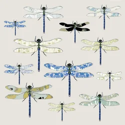 Odonata, 2008