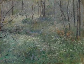 Wilde Petersilie, 1900