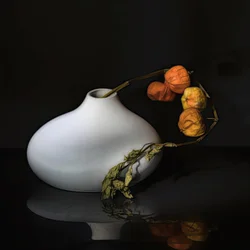 Elegantes Physalis-Stillleben