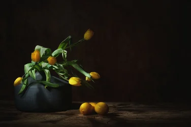 Stimmungsvolles Stillleben mit gelben Tulpen