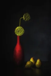 Rote Vase, Lotus, Birnen