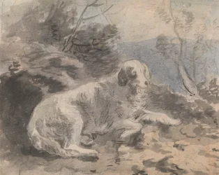Ein Setter in einer Landschaft