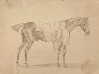Pferd in Decke gekleidet