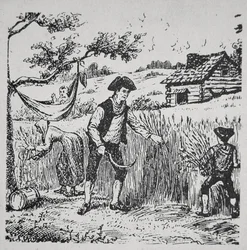 Eine Familie bei der Ernte von Mais