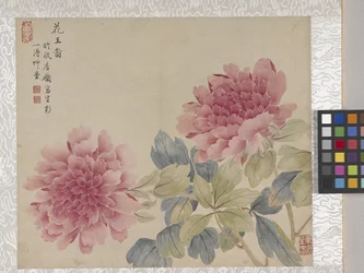 8-Blatt-Album mit Blumen, Mitte 1700er Jahre